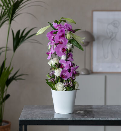 Lilla dekorasjon med liljer og orkidéer